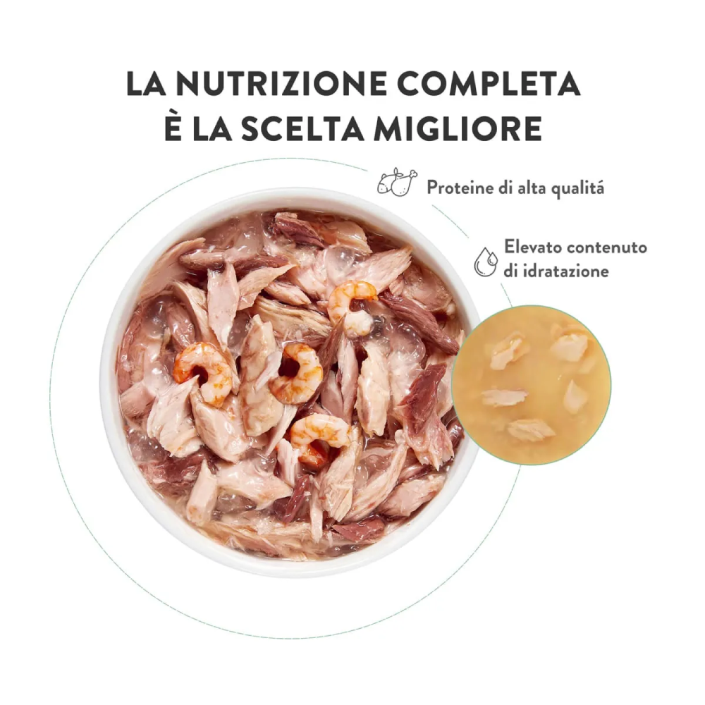 Schesir Cat Tonnetto spigola jelly 6x50g