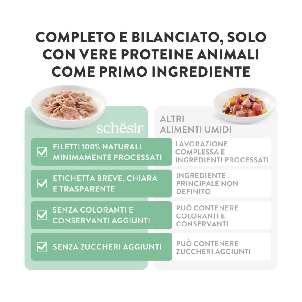 Schesir Cat Tonnetto spigola jelly 6x50g