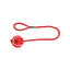 Trixie Gioco palla tennis corda