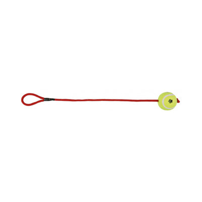 Trixie Gioco palla tennis corda