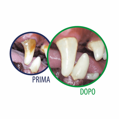 Tropiclean Dentifricio gel per cuccioli - happy4pets.it 