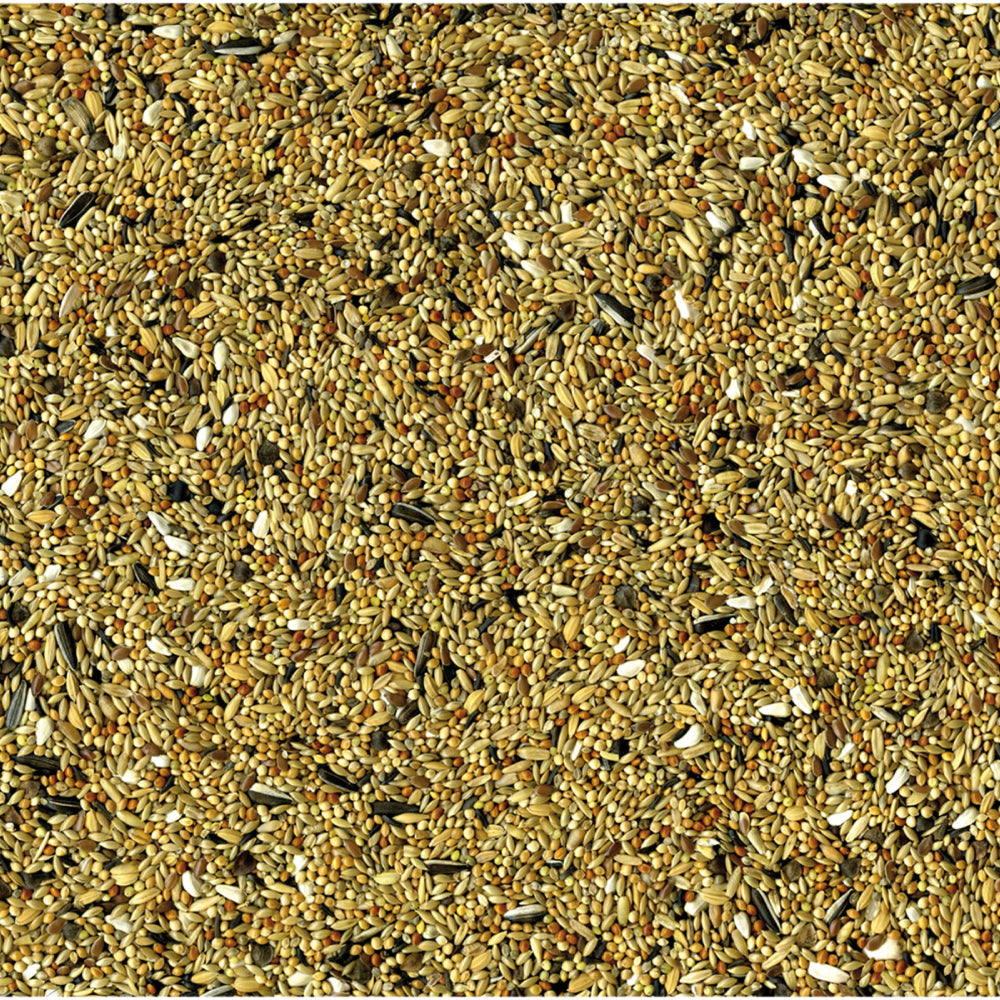 Vadigran Original Calopsite e parrocchetti