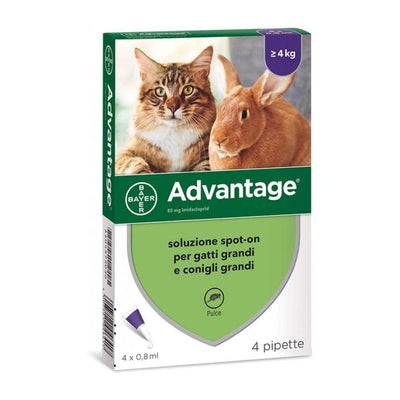 Bayer Advantage Spot-On gatto e coniglio - happy4pets.it