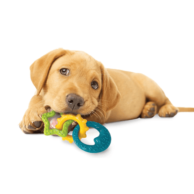 Nylabone Anelli da dentizione - happy4pets.it 