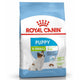 Royal Canin X-Small Puppy - happy4pets.it 